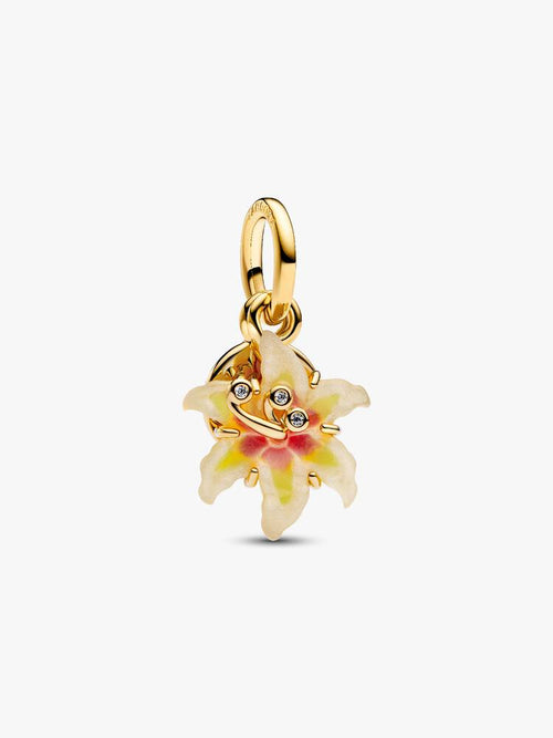 Rapunzle Charm